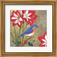 Winter Birds Bluebird Fine Art Print