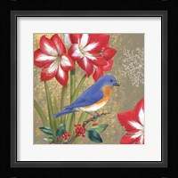 Winter Birds Bluebird Framed Print