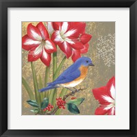 Winter Birds Bluebird Framed Print