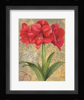 Winter Birds Amaryllis II Fine Art Print