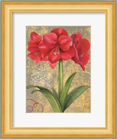 Winter Birds Amaryllis II Fine Art Print