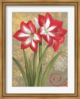 Winter Birds Amaryllis I Fine Art Print