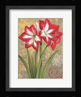 Winter Birds Amaryllis I Fine Art Print