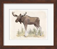 Wilderness Collection Moose Fine Art Print