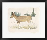 Wilderness Collection Deer Framed Print