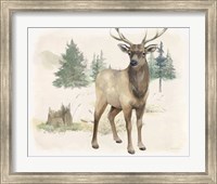 Wilderness Collection Elk Fine Art Print