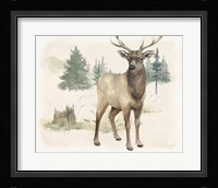 Wilderness Collection Elk Framed Print