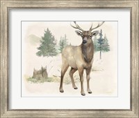 Wilderness Collection Elk Fine Art Print