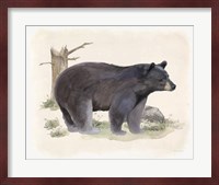 Wilderness Collection Bear Fine Art Print