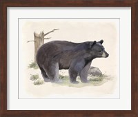 Wilderness Collection Bear Fine Art Print