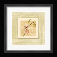 Exotic Floral IV Fine Art Print