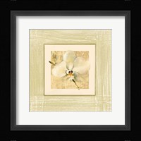 Exotic Floral III Fine Art Print