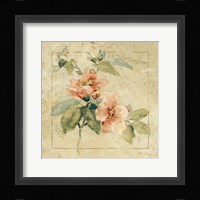 Provence Rose I Framed Print