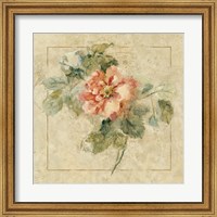 Provence Rose II Fine Art Print