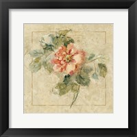Provence Rose II Framed Print