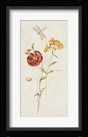 Wild Wallflowers IV Fine Art Print