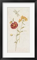 Wild Wallflowers IV Framed Print