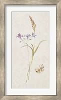 Wild Wallflowers III Fine Art Print