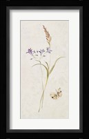 Wild Wallflowers III Fine Art Print