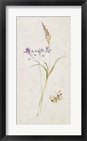 Wild Wallflowers III Framed Print