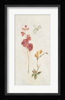 Wild Wallflowers II Fine Art Print
