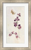 Wild Wallflowers I Fine Art Print