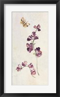 Wild Wallflowers I Framed Print