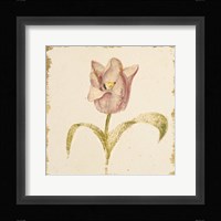 Vintage Blue Parrot Tulip Crop Fine Art Print