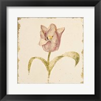 Vintage Blue Parrot Tulip Crop Fine Art Print