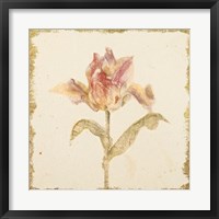 Vintage Zoomer Schoon Tulip Crop Fine Art Print