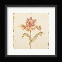 Vintage Zoomer Schoon Tulip Crop Fine Art Print