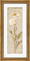 Cosmo Panel on White Vintage Fine Art Print