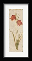 Red Tulip Panel on White Vintage Framed Print