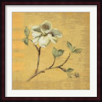 Dogwood Blossom on Gold Fine Art Print