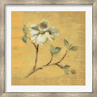 Dogwood Blossom on Gold Fine Art Print