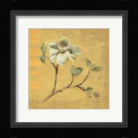 Dogwood Blossom on Gold Framed Print