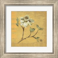 Dogwood Blossom on Gold Fine Art Print