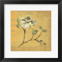 Dogwood Blossom on Gold Framed Print