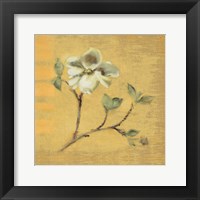 Dogwood Blossom on Gold Fine Art Print
