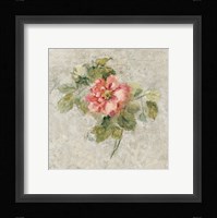 Provence Rose II Red and Neutral Fine Art Print