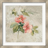 Provence Rose I Red and Neutral Fine Art Print