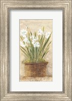 Garden White Narcissus Panel Fine Art Print
