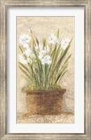 Garden White Narcissus Panel Fine Art Print