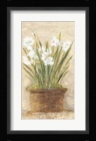 Garden White Narcissus Panel Framed Print