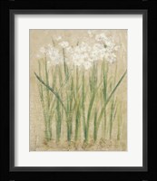 Narcissus Cool Fine Art Print