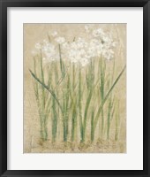 Narcissus Cool Fine Art Print