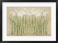 Narcissus Row Cool Fine Art Print