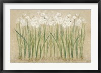 Narcissus Row Cool Fine Art Print