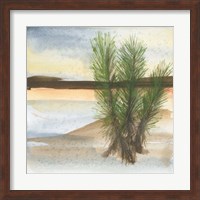 Desert Yucca Fine Art Print