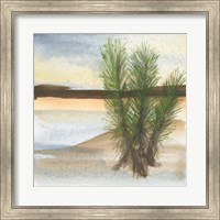 Desert Yucca Fine Art Print